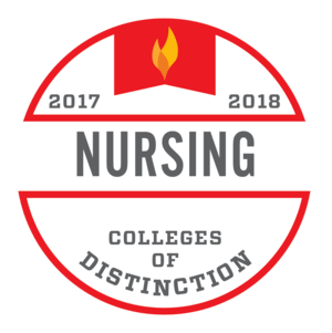 2017 - 2018 nursing colleges of distinction badge