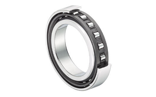 Straight Bore NTN M1306EHL 19 mm Width 72 mm OD 30 mm ID Cylindrical Roller Bearing C0 Internal Clearance 