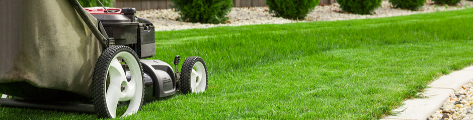 Lawn Maintenance Of Athens