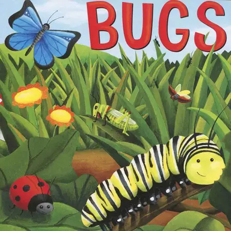 Bugs Board Book