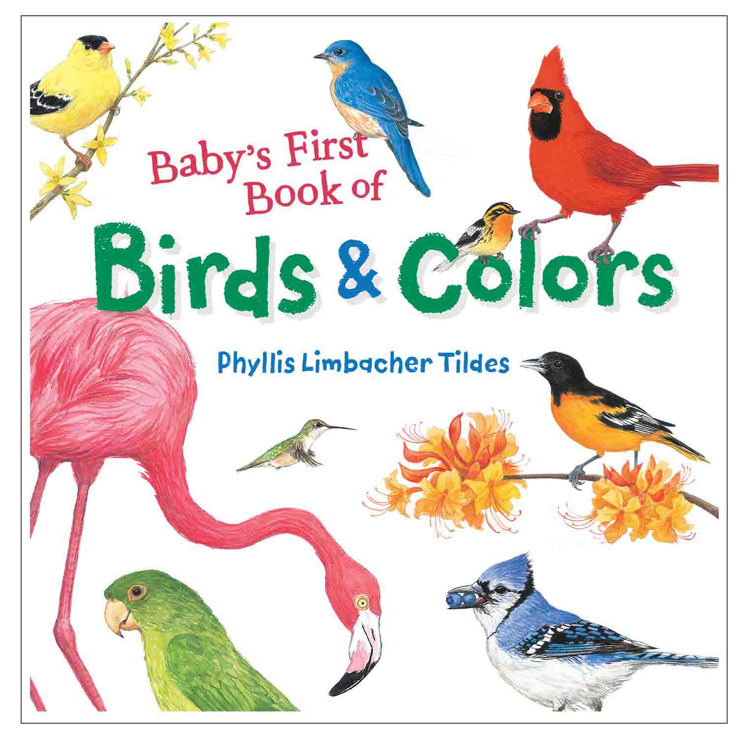 Baby's First Book of Birds & Colors