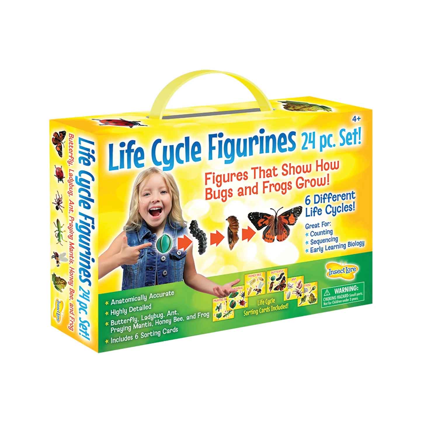 Life Cycle Figurines Classroom Set