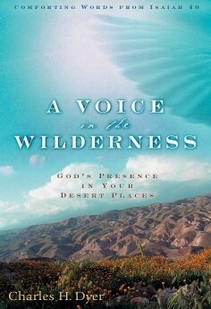 A Voice in the Wilderness book cover