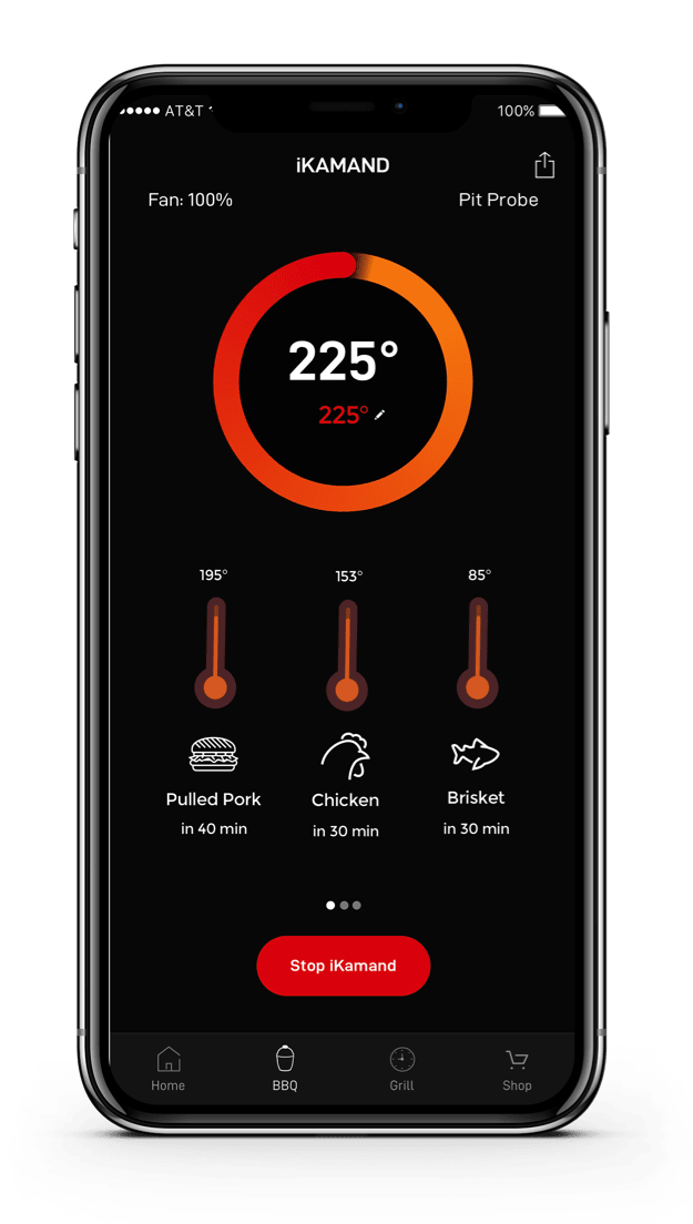 Cook temperature and estimated remaining cook times displayed in the app