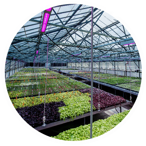 Hardgoods and Greenhouse Supplies from Ball Seed