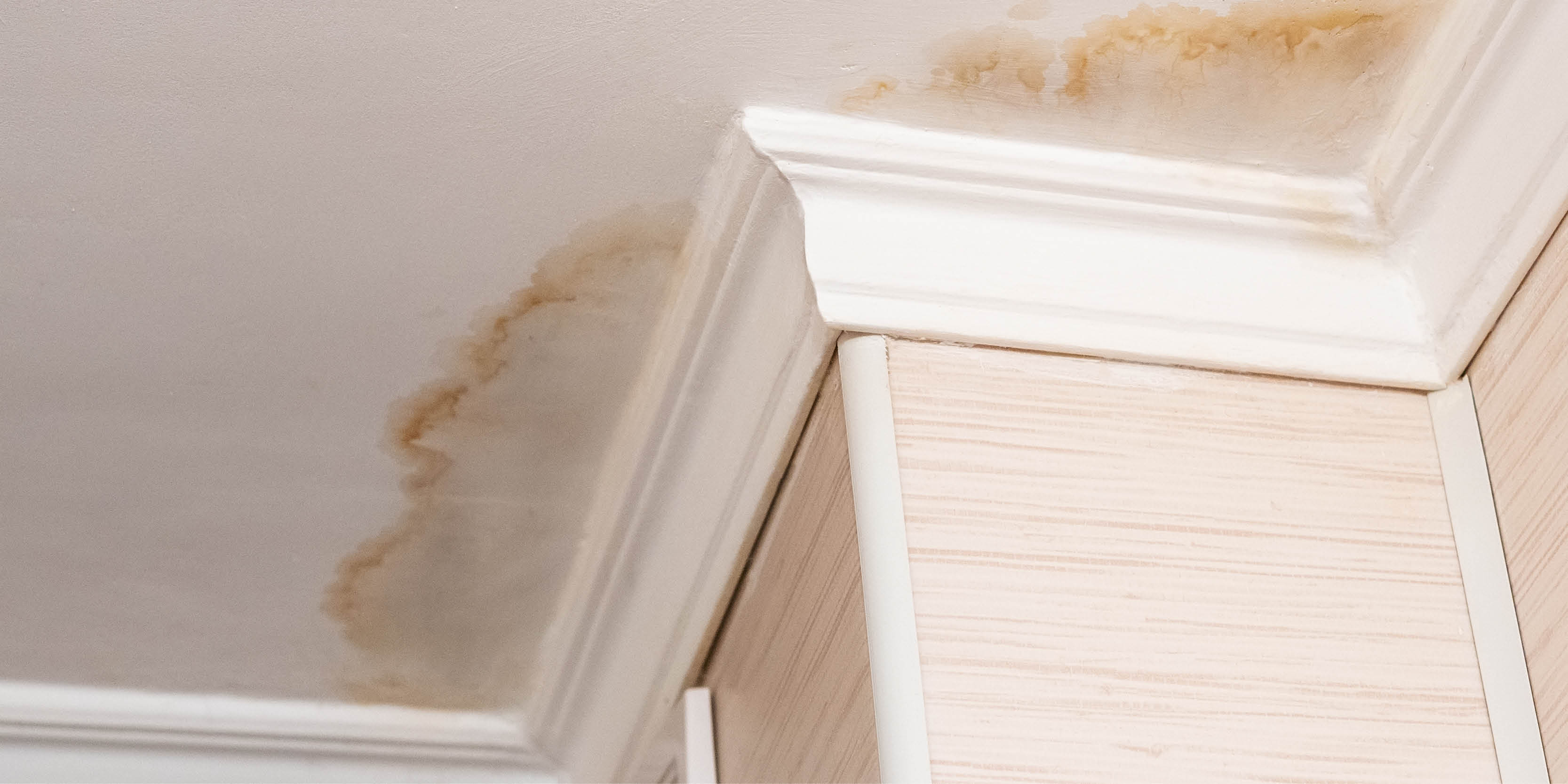 Can Clogged Gutters Cause Ceiling Leaks