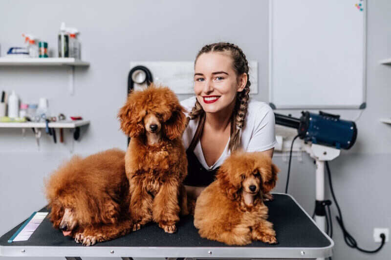 Groomer smiles behind three brown dogs on a grooming table.