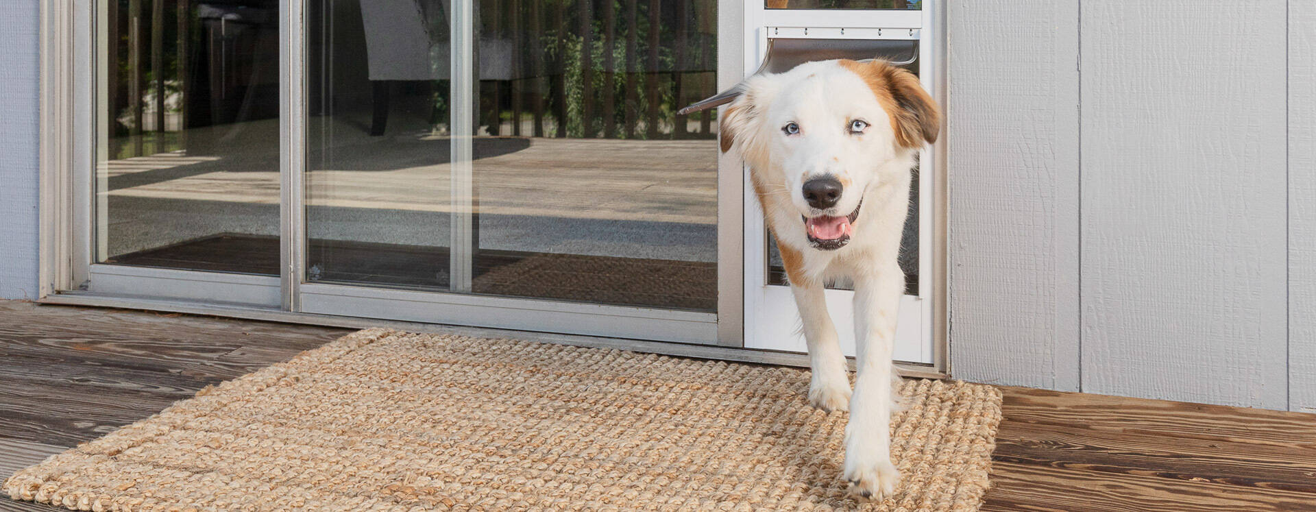 Sliding Door Dog Inserts, Automatic Dog Door Sliding Glass
