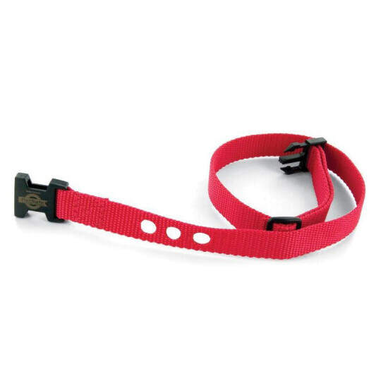2 Nylon 3/4" Wide Replacement Dog Collar Strap For Ultra Light Bark Control 