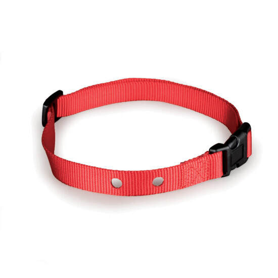 1" Wireless/Stubborn Dog In-Ground Replacement Collar Strap; Compatible with the 