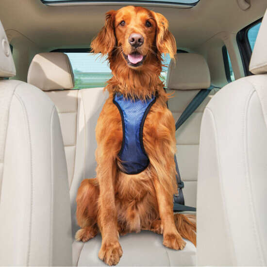 Happy Ride Safety Harness By Petsafe Grp Dvsh - Are Dog Seat Belts Safe