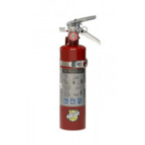 Buckeye (13315) 5 lb ABC Dry Chemical Fire Extinguisher w/ Inspection