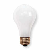 Rough Service Light Bulb, 100 Watt 