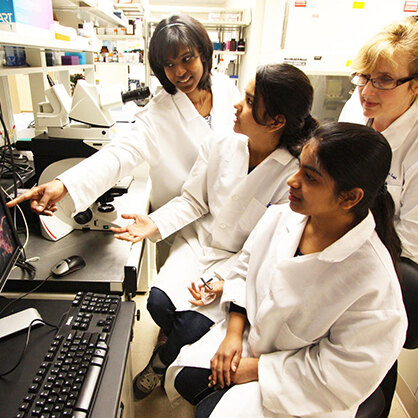 Master of Science in Cellular & Molecular Biology - University of New Haven