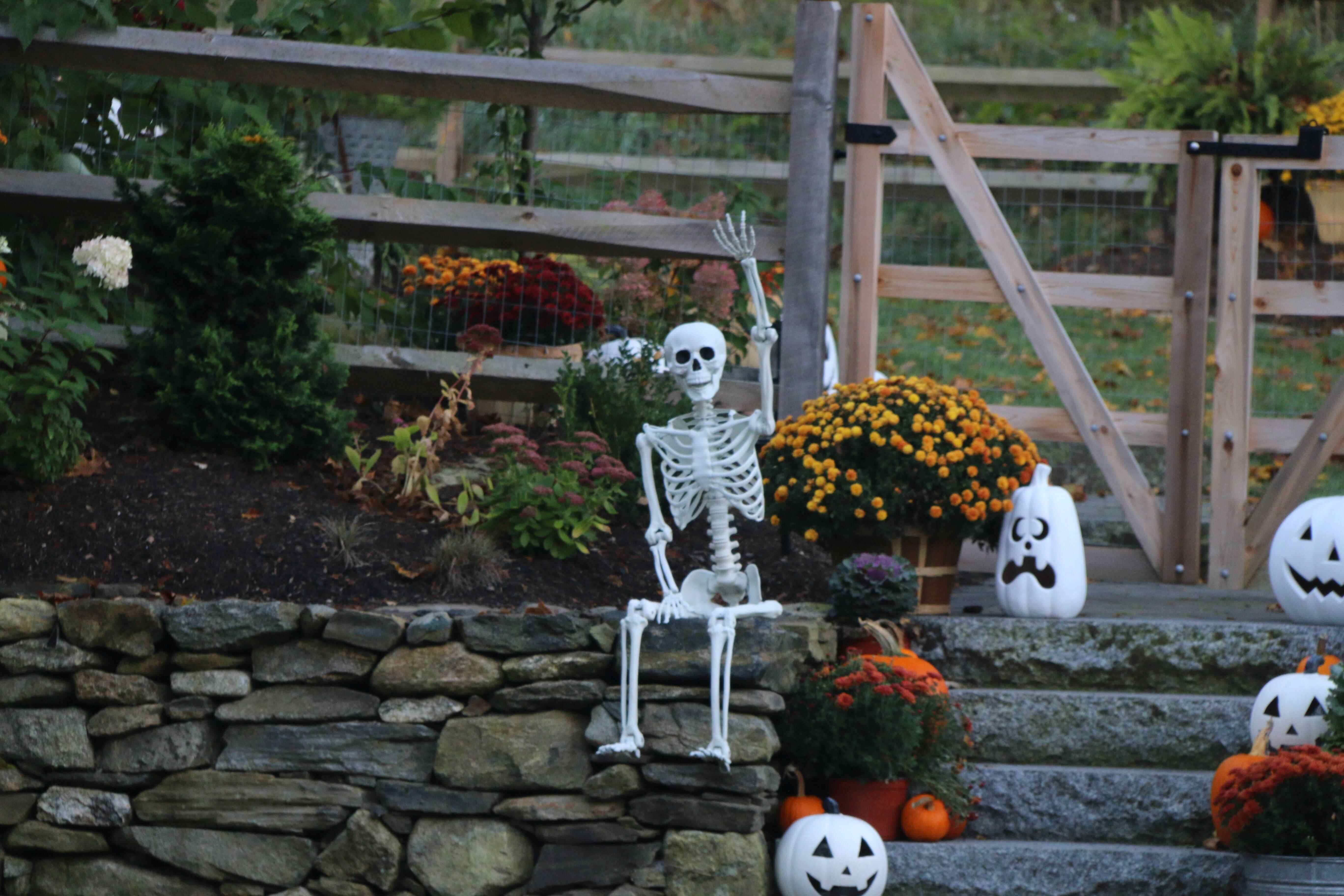 Skeleton waving hi on a ledge with Halloween décor around