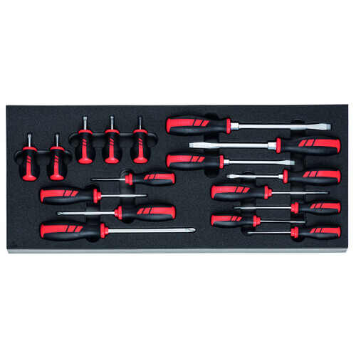 Holex Flat Head & Phillips Screwdrivers in Rigid Foam Inlay, Set of 11