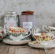 Range of Tea Cups and Saucers with Tea Discoveries Biscuits
