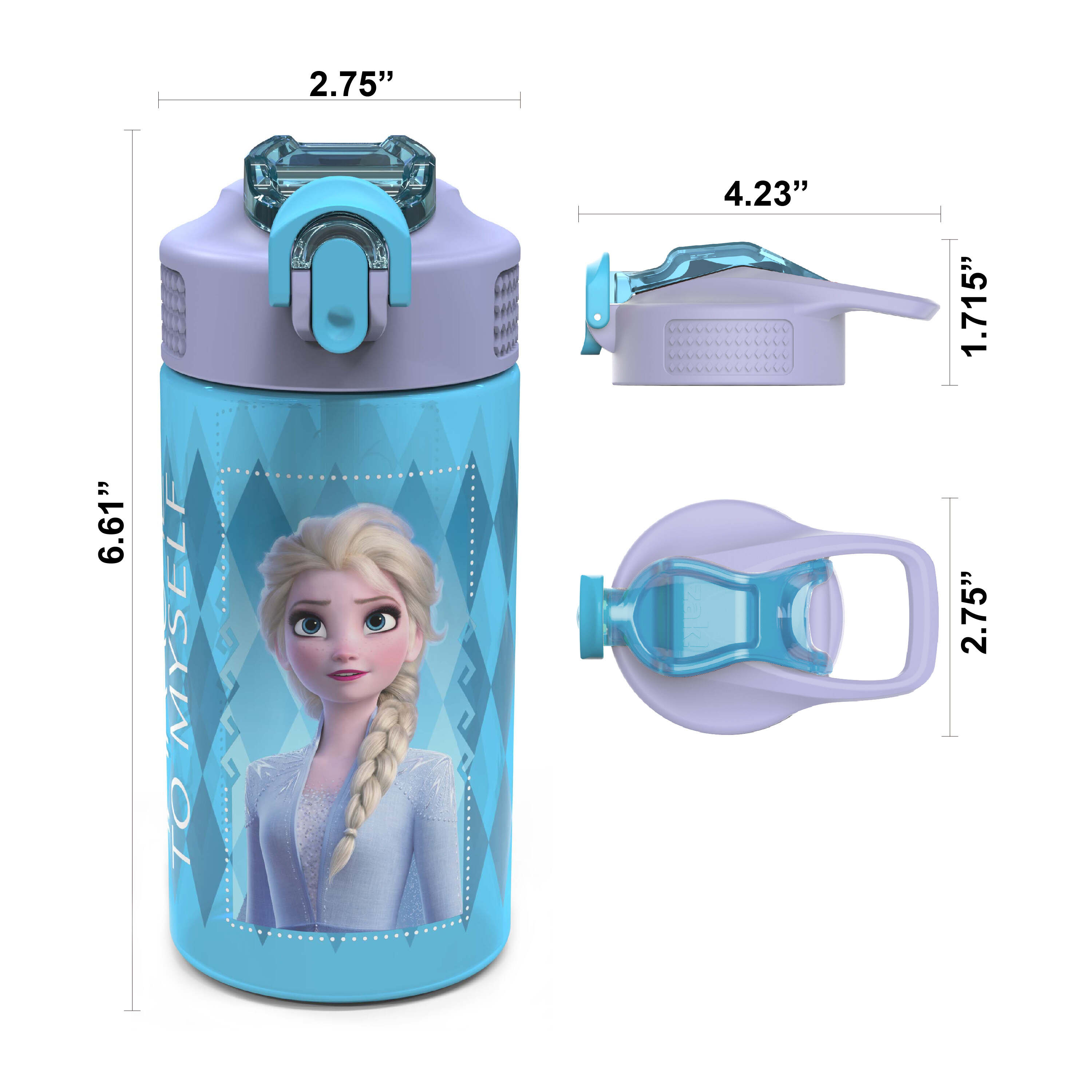 Water Bottle Disney Frozen Anna & Elsa My Destiny is Calling 16 OZ 