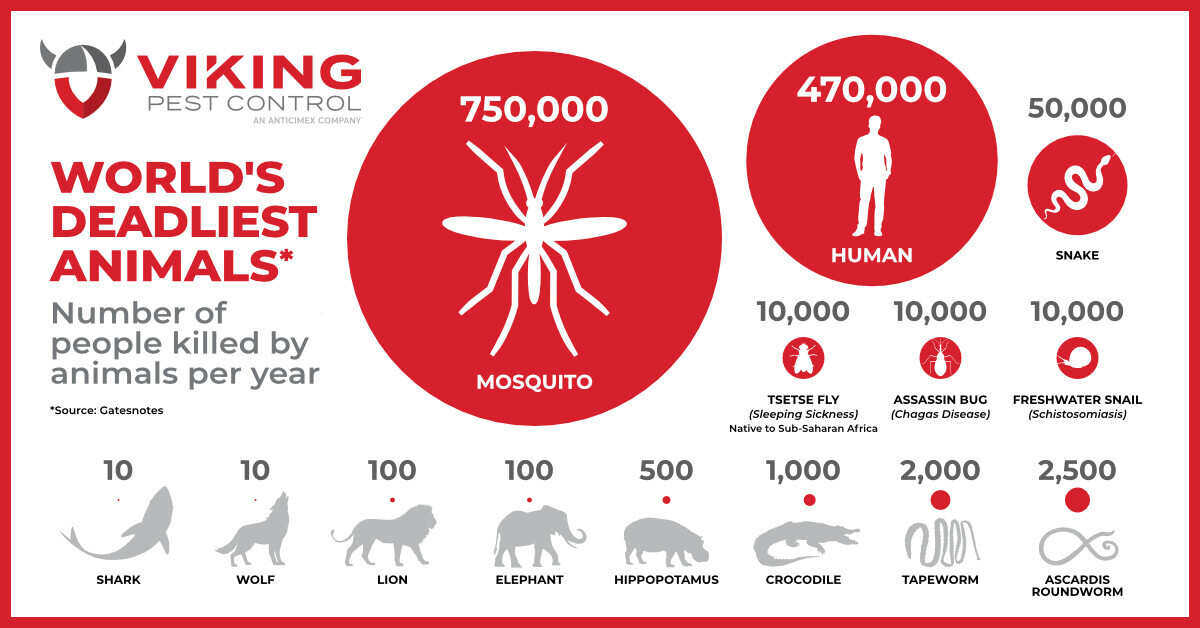 Minimize Mosquito Problems This Summer