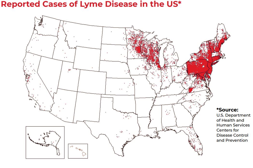 Lyme Disease In Pennsylvania, New Jersey, Delaware and Maryland