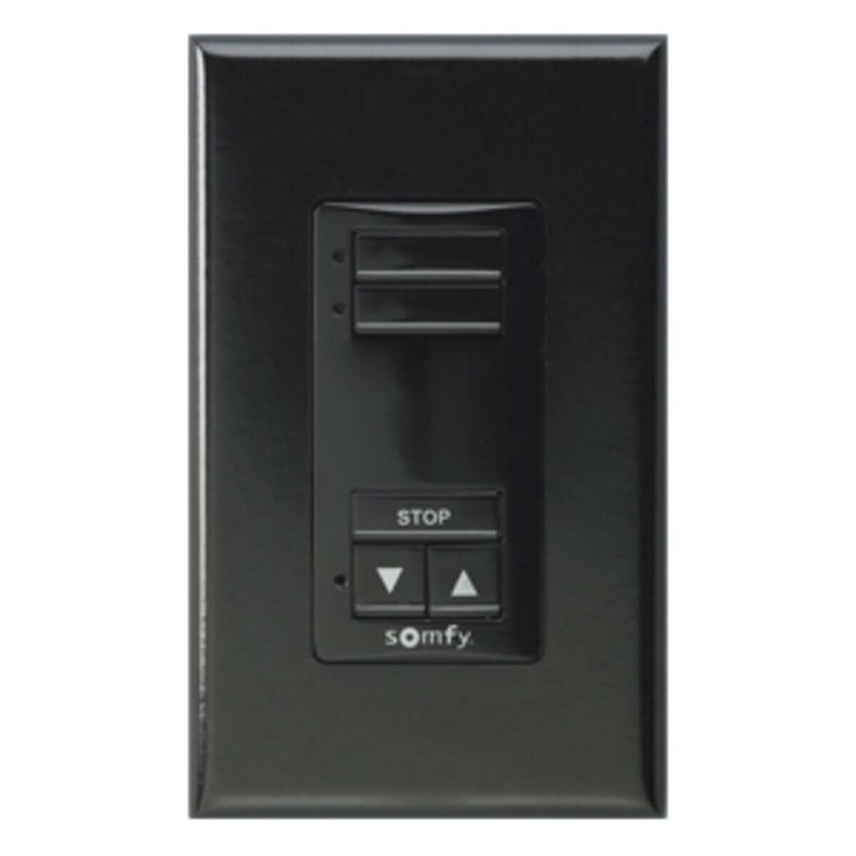 DecoFlex WireFree™ RTS 2 Channel (kit), Black | Somfy