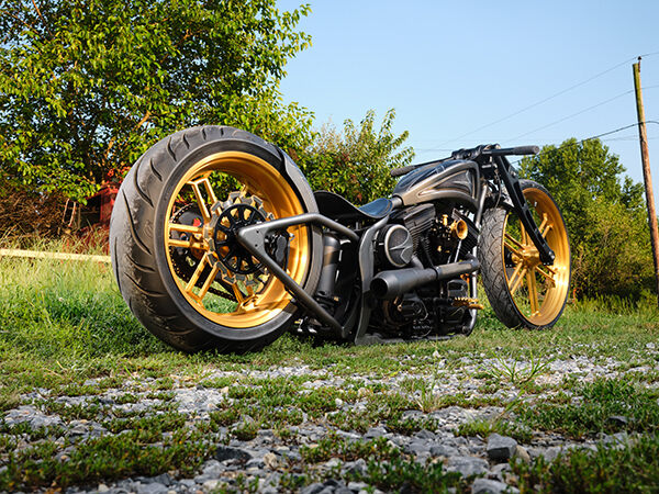 Harley-Davidson ロンT Custom 2005 Harley-Davidson Softail Night Train - Motorcycle