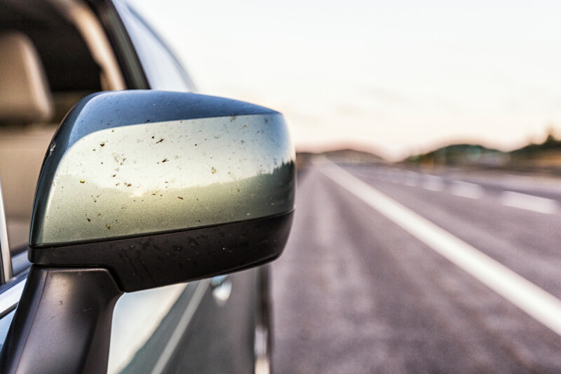 6 bug removal considerations carwashes need to know - Professional  Carwashing & Detailing