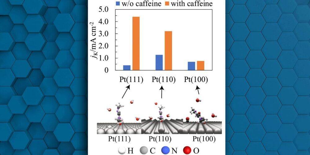 caffeine-fuel-cells