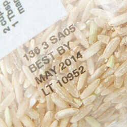 Close-up-rice.jpg