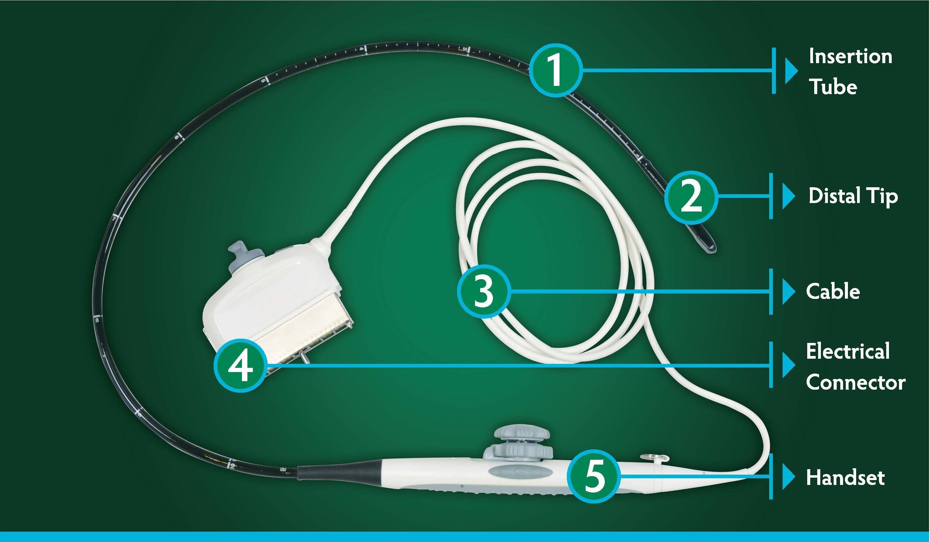What is a TEE Ultrasound Probe - CS Medical