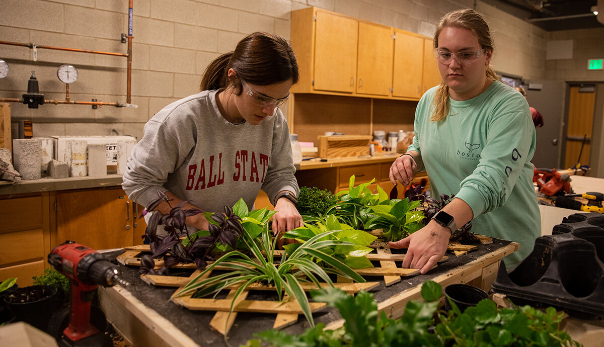 Two Ball State students put plants in a lattice structure. 