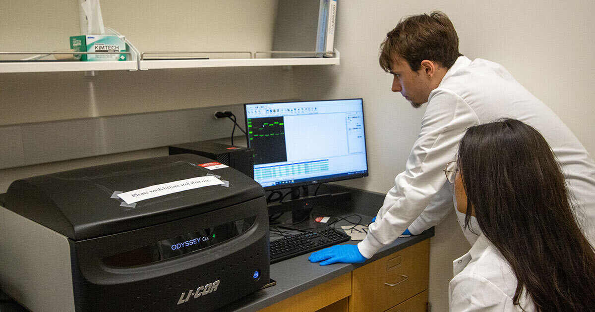 Certificate in Biotechnology | Ball State University
