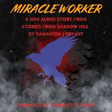 Miracle Worker - free audiobook