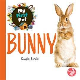 Bunny - free ebook