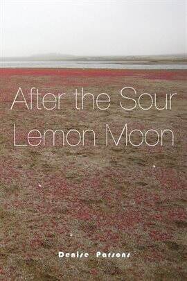 After the Sour Lemon Moon - free ebook