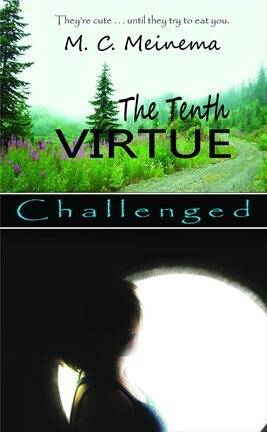 The Tenth Virtue - free ebook