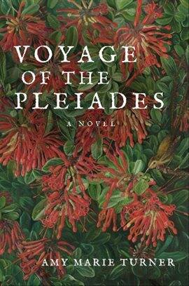 Voyage of the Pleiades - free ebook