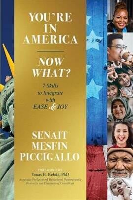 You're in America - Now What? - free ebook