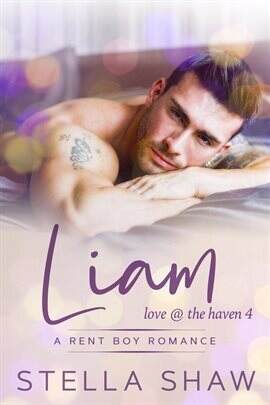 Liam, Love at the Haven 4 - free ebook