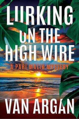 Lurking on the High Wire - free ebook