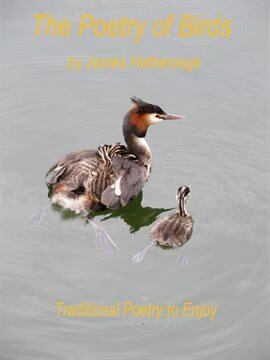 The Poetry of Birds - free ebook