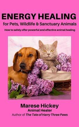Energy Healing for Pets, Wildlife & Sanctuary Animals - free ebook