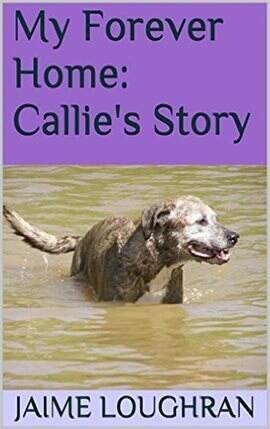 A Forever Home: Callie's Story - free ebook