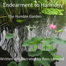Endearment to Harmony - free audiobook