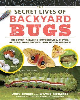 The Secret Lives of Backyard Bugs by Judy Burris, Wayne Richards
