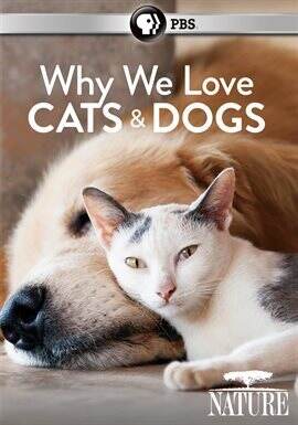 Why We Love Cats and Dogs (2009) Movie | hoopla