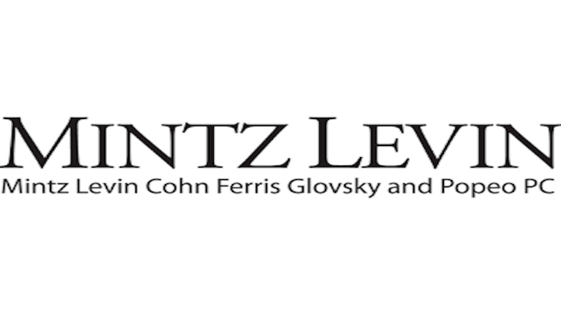Internship Opportunity: The Mintz Levin Project Analyst Program
