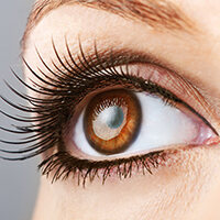 how-to-choose-false-lashes-for-any-level-of-expertise