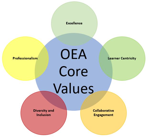 Educational Affairs Core Values