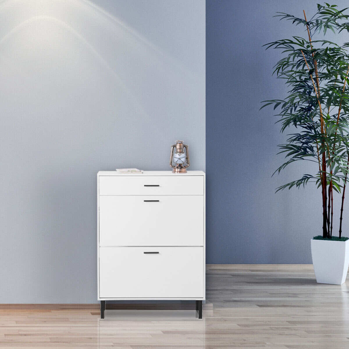 Shoe cabinet with legs deals